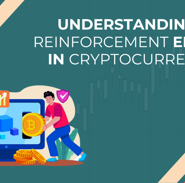 Understanding the Reinforcement Effect in Cryptocurrencies